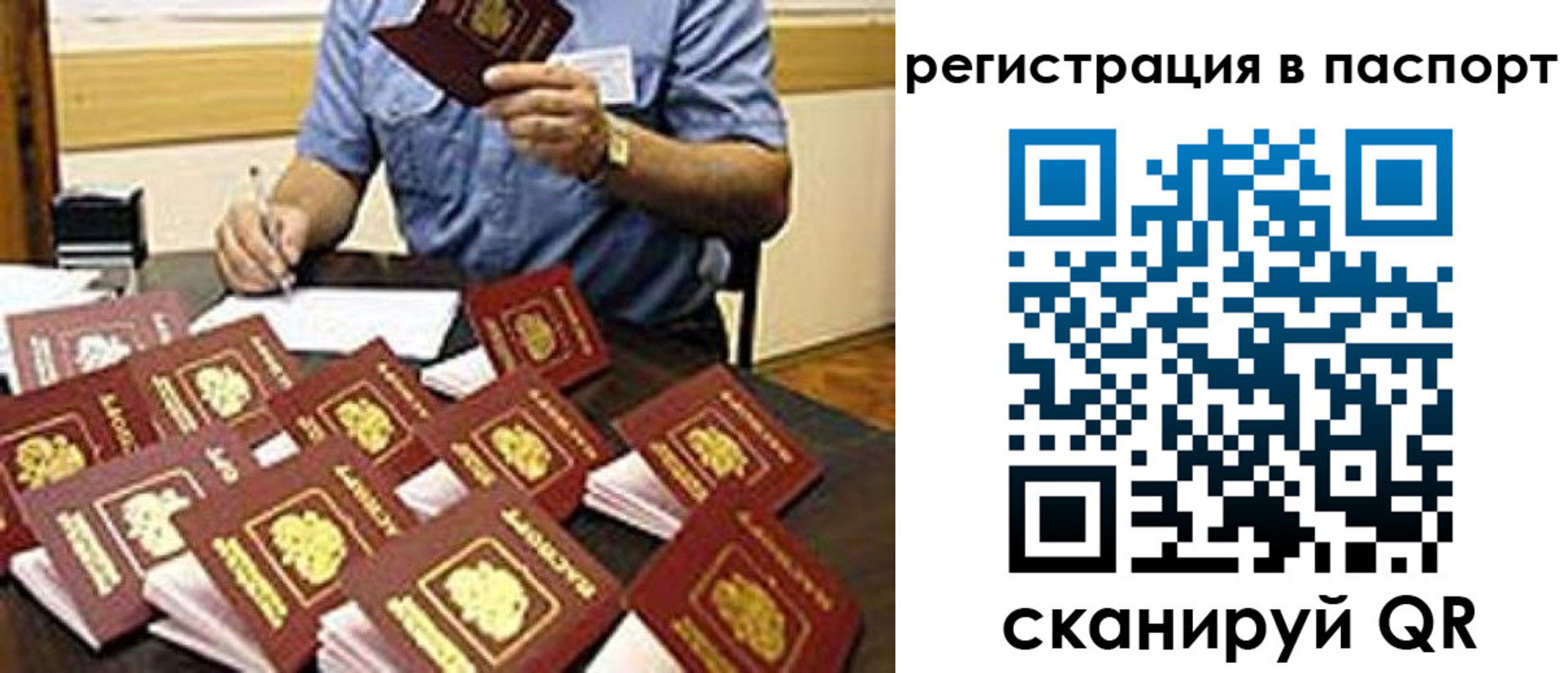 временная регистрация поиск в Новоузенске